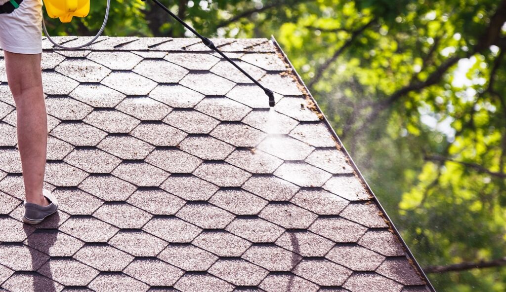Roof treatment with anti-moss liquid by spraying it on the roofing material in the summer; part of the human body is visible.