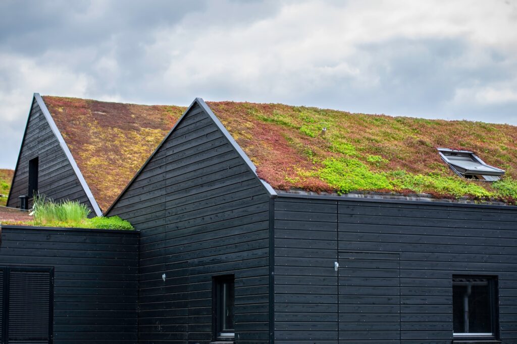 living green roof