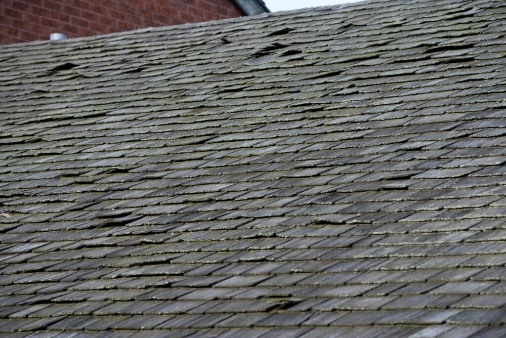 old roof mold shingles