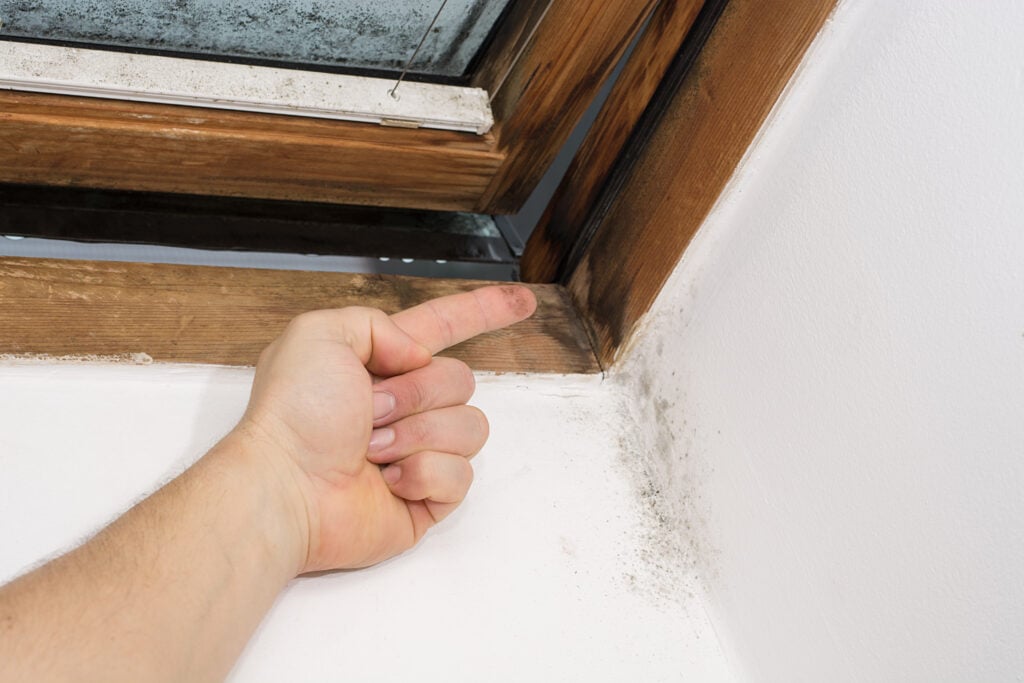 attic ventilation finger pointing mold on attic